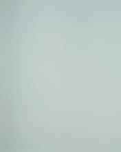 Load image into Gallery viewer, Paint, Nevergreen