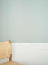 Load image into Gallery viewer, Paint, Nevergreen