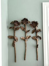 Load image into Gallery viewer, Rose Eken #1
