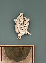 Load image into Gallery viewer, Morten Plesner #4

