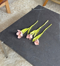 Load image into Gallery viewer, Rose Eken #06
