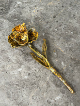 Load image into Gallery viewer, Rose Eken #07
