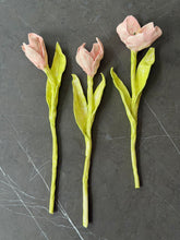 Load image into Gallery viewer, Rose Eken #06
