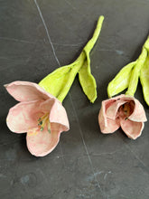 Load image into Gallery viewer, Rose Eken #06
