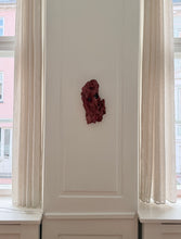 Load image into Gallery viewer, Thomas Øvlisen #1
